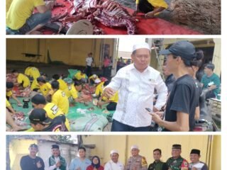 Lebaran Haji, Ketua Komisi IV DPRD Kota Tangerang Supiani Kurban 13 Ekor Sapi