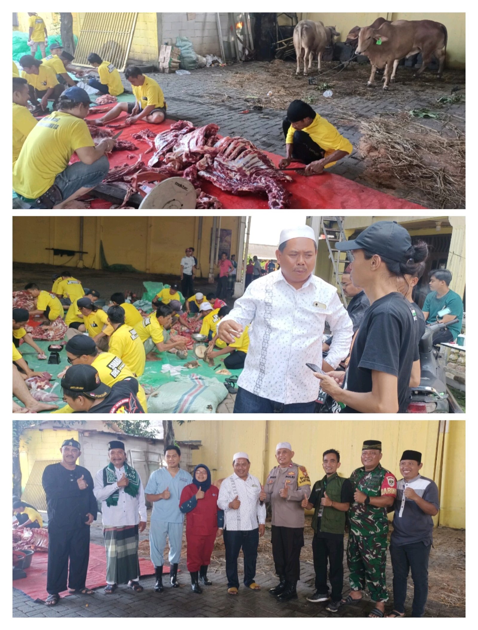 Lebaran Haji, Ketua Komisi IV DPRD Kota Tangerang Supiani Kurban 13 Ekor Sapi