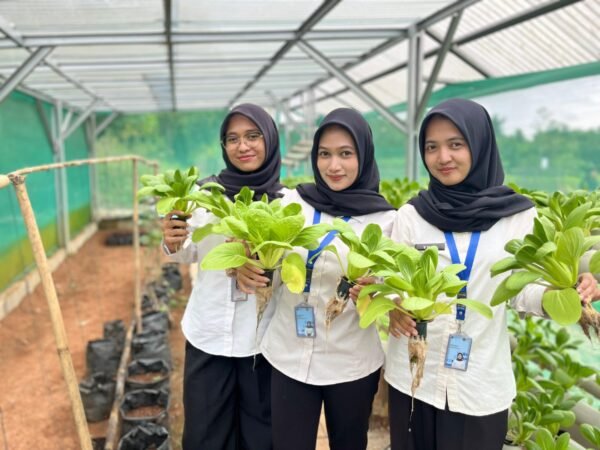 Kolaborasi Pembinaan Berbuah Hasil, Panen Pakcoy Rutan Tangerang Tembus 11,5 Kg