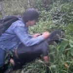 Residivis Curanmor di Kota Tangerang Dibekuk Polisi