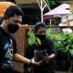 Pemkot Tangerang Sediakan Bibit Tanaman Gratis, Begini Cara Mudah Mendapatkannya