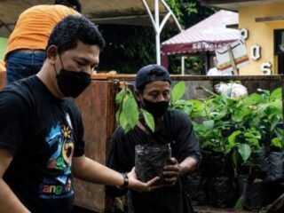 Pemkot Tangerang Sediakan Bibit Tanaman Gratis, Begini Cara Mudah Mendapatkannya